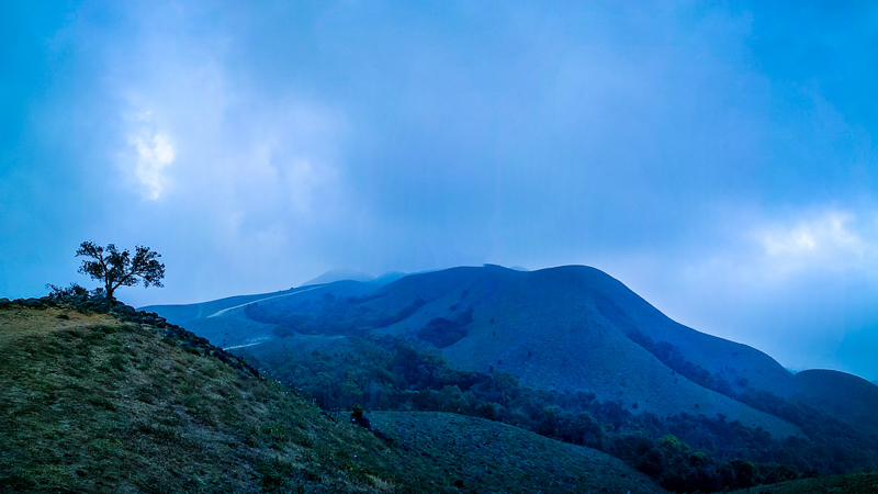 Gokulam Grand Resort & Spa Coorg